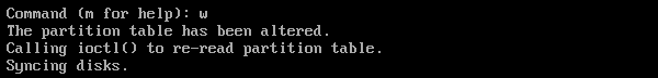 fdisk writing partition table to disk